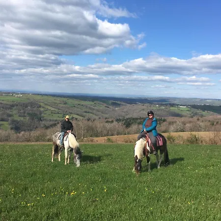 D'hôtes Coeur De Bastié Et Ranch Du Lévézou Bed & Breakfast