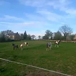D'hôtes Coeur De Bastié Et Ranch Du Lévézou 3*