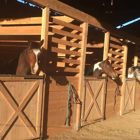 D'hotes Coeur De Bastie Et Ranch Du Levezou Panzió