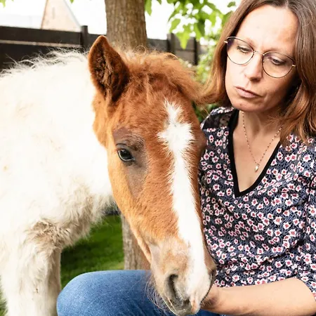 Panzió D'hotes Coeur De Bastie Et Ranch Du Levezou Trémouilles