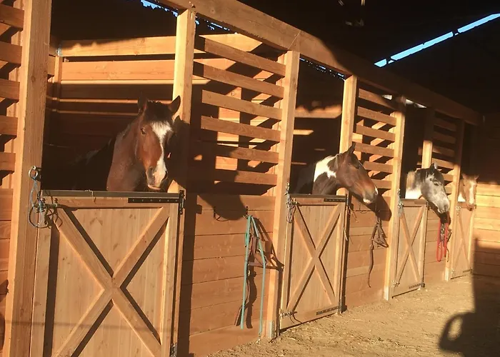 D'hotes Coeur De Bastie Et Ranch Du Levezou Bed & Breakfast