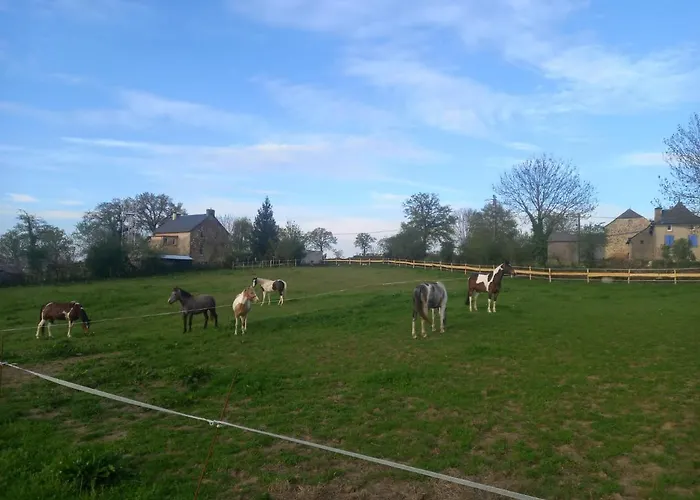 D'hôtes Coeur De Bastié Et Ranch Du Lévézou 3*