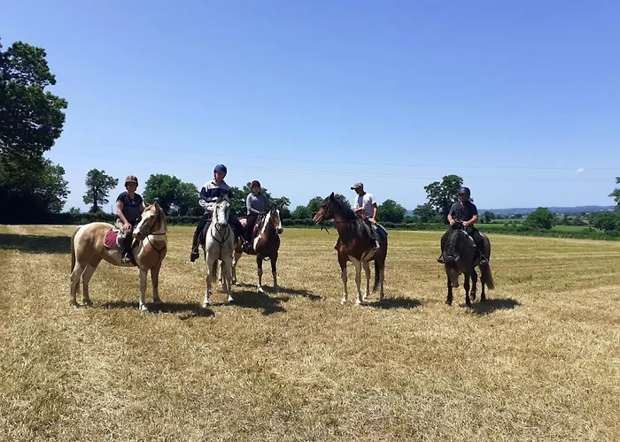 Bed and breakfast D'hôtes Coeur De Bastié Et Ranch Du Lévézou 3*