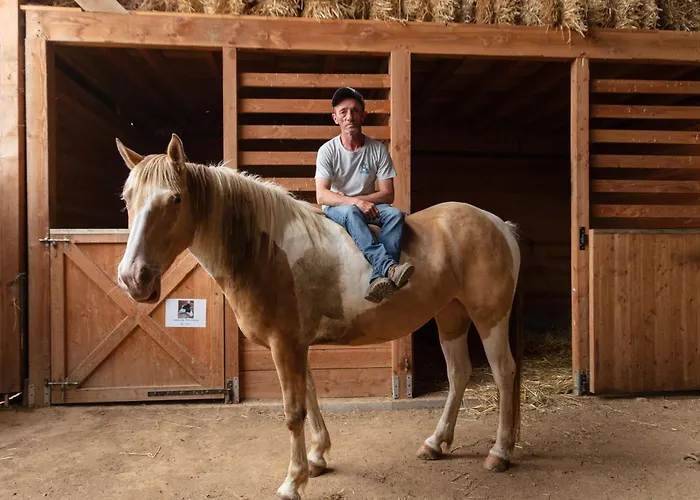Frühstückspension D'hotes Coeur De Bastie Et Ranch Du Levezou Trémouilles
