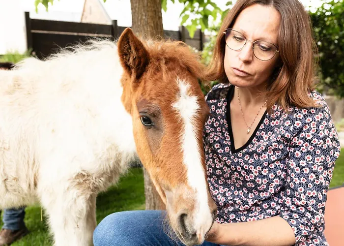 Frühstückspension D'hotes Coeur De Bastie Et Ranch Du Levezou Trémouilles