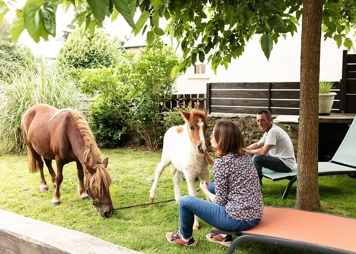 Frühstückspension D'hotes Coeur De Bastie Et Ranch Du Levezou 3*